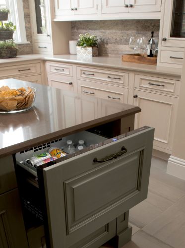 24-Inch Under-Counter Double Drawer Refrigerator