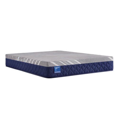 Sealy Carrington Chase Pacific Rest Firm Hybrid Twin