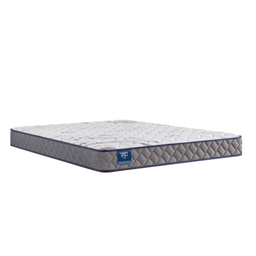 Sealy Crown Jewel Moon Cove Foam Twin Long